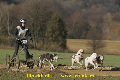 Bakonybel - 0643.JPG